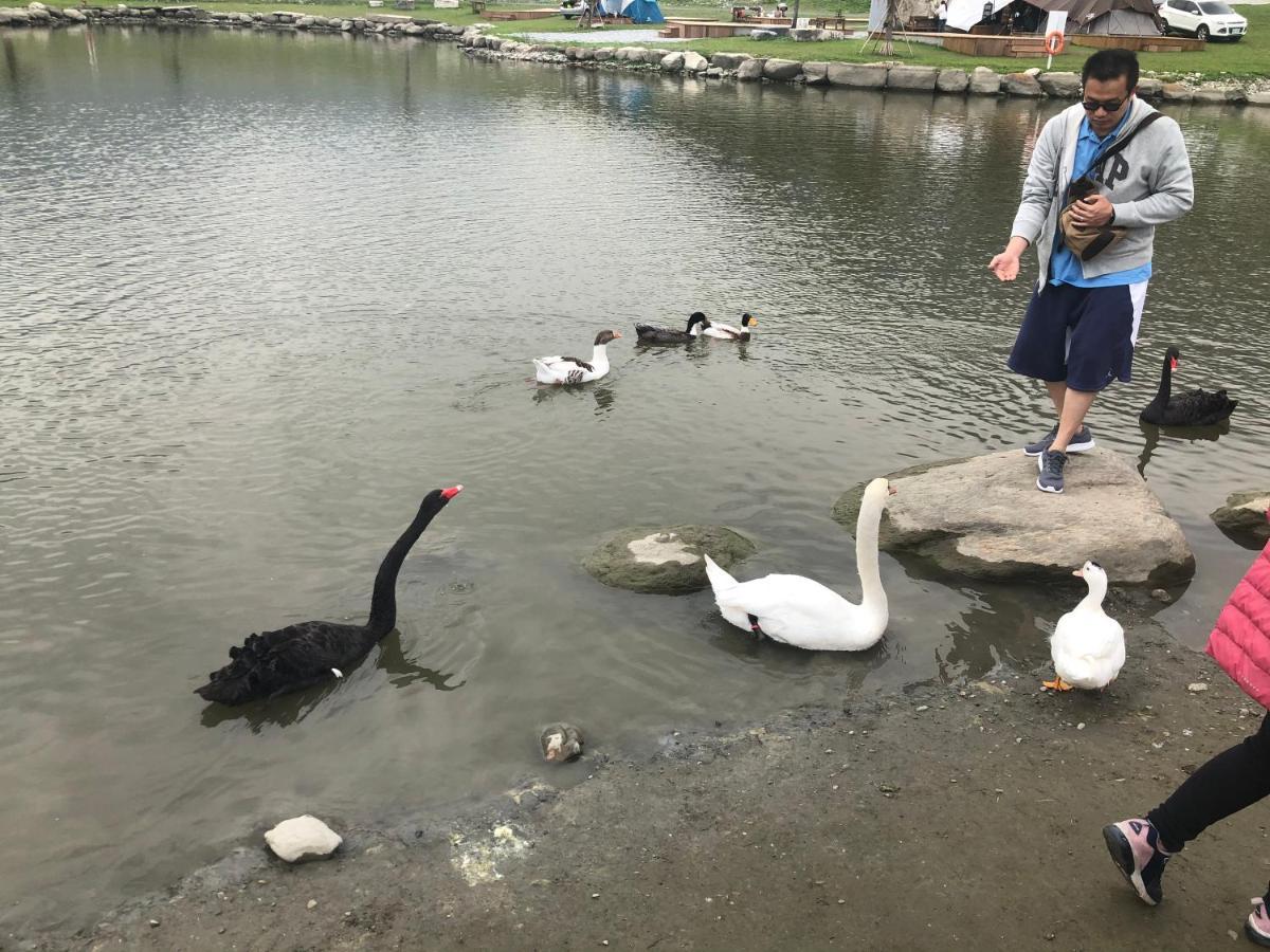 太魯閣惠宇民宿 Ξενοδοχείο Xincheng Township Εξωτερικό φωτογραφία